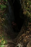 пещера октябрьская, входной колодец.